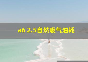 a6 2.5自然吸气油耗